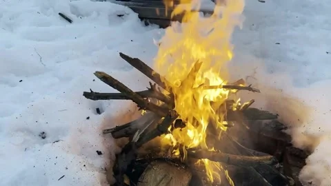 Camping fire in forest winter Stock-Footage 233761687