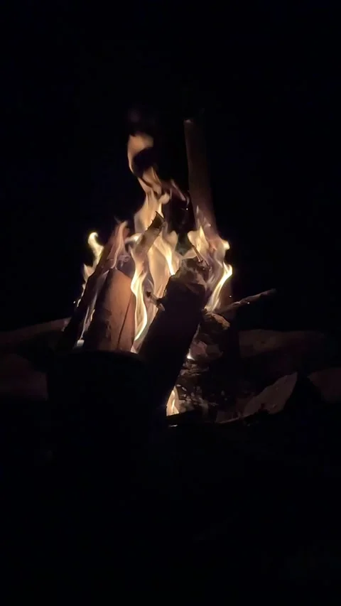 Camping fireplace at night time Stock Footage 254548910