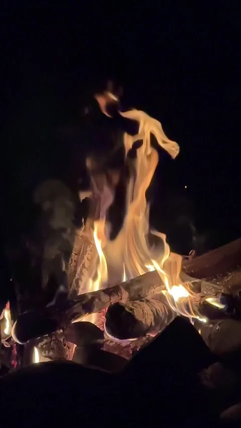 Camping fireplace at night time Stock Footage 254548998