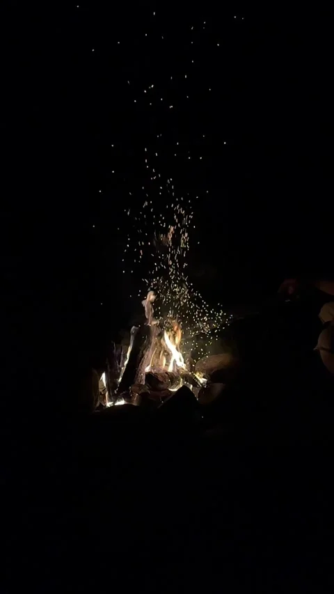 Camping fireplace at night time Stock Footage 255594262