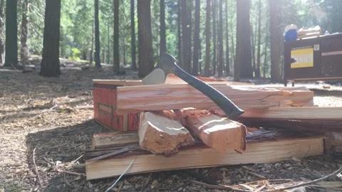 Camping Firewood Stack and Hatchet Prepared at Forest Campsite in Sierra Nevada Stock Footage 337257278