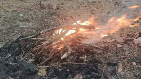 Camping food, marshmallows over the fire.  Stock Footage 165588307
