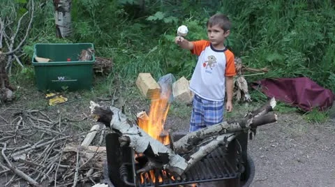 Camping Video stock 11629488