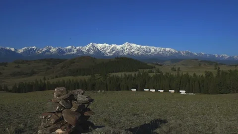 Camping in the forest against the backdrop of snowy mountains Natural tourism 4k Stock Footage 123544636