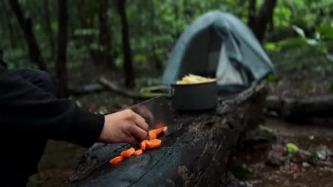 Camping in the forest, A boy cutting carrots and cooking in forest, Stock Footage 285928604