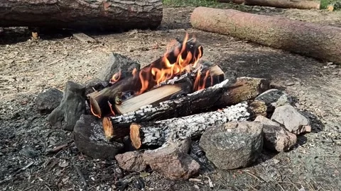 Camping in the forest, cooking in nature. Open-air bonfire. Stock Footage 235940106
