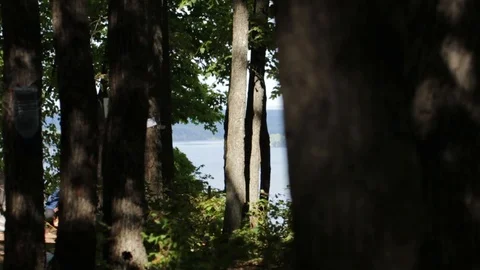 Camping in the forest Stock Footage 99978442