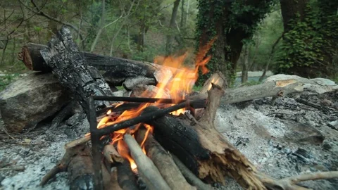 Camping in the forest Stock Footage 113200893