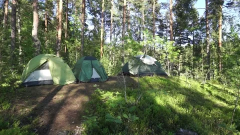The camping in the forest Stock Footage 238012500