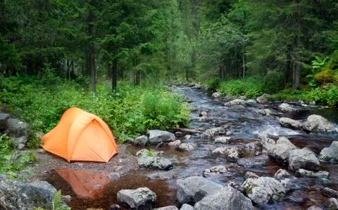Camping in the forest Stock Photos