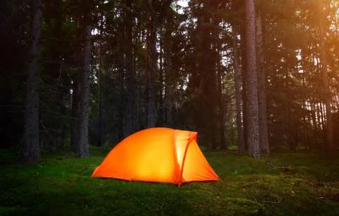 .camping in the forest Stock Photos