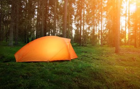 Camping in the forest Stock Photos