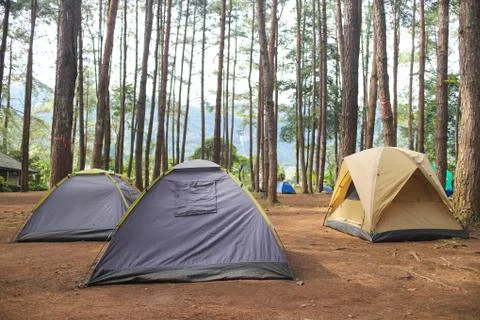 Camping in forest Stock Photos