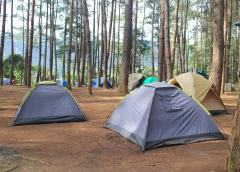 Camping in forest Stock Photos