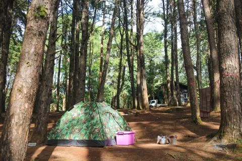 Camping in forest Stock Photos