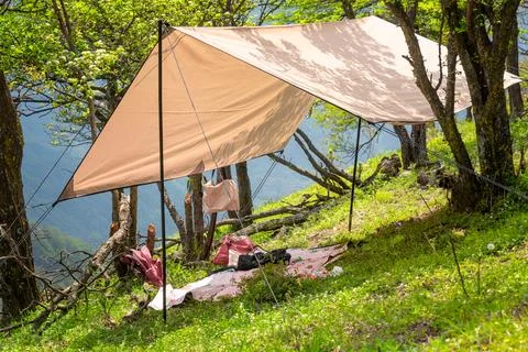 Camping in the forest Stock Photos