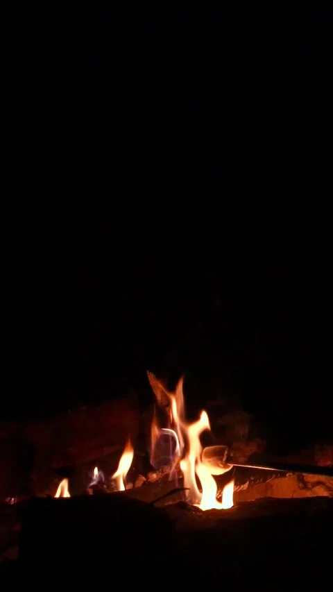 Camping in the forest, roasting marshmallows on the fire Stock Footage 285639111