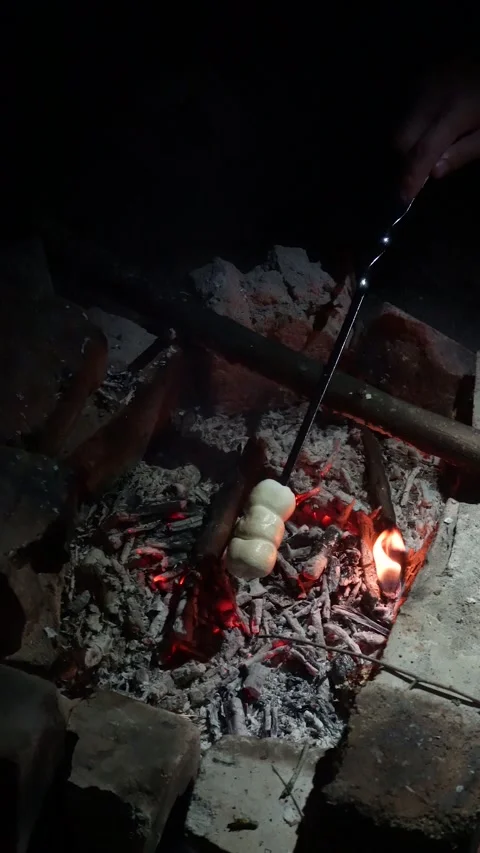 Camping in the forest, roasting marshmallows on the fire Stock Footage 285639204