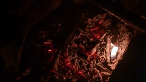 Camping in the forest, roasting marshmallows on the fire Video stock 285639260
