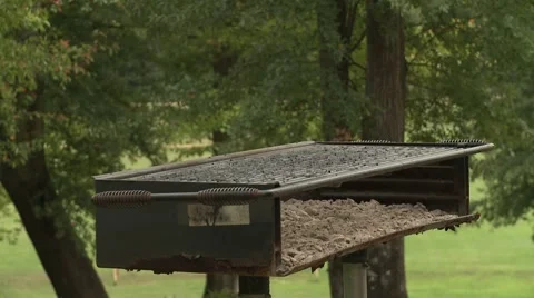 Camping grill  Stock Footage 922754