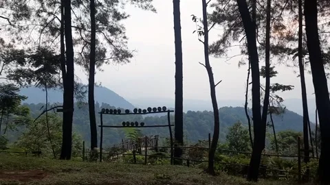 Camping ground in Indonesia Stock-Footage 295213115