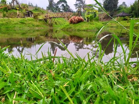 CAMPING GROUND Photos