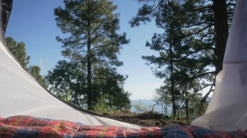 Camping Inside a Tent Looking Out at Fir Trees on a Mountain in 4k Stock Footage 95801507