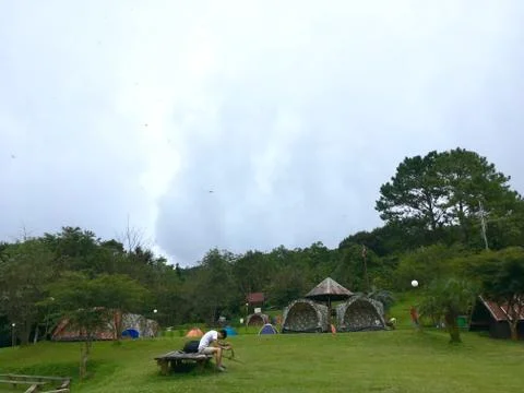 Camping in jungle Stock Photos