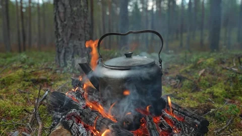 A camping kettle boils over a campfire Video stock 296283719