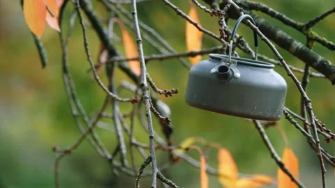 Camping kettle hanging in autumn tree branches Stock Footage 321361470