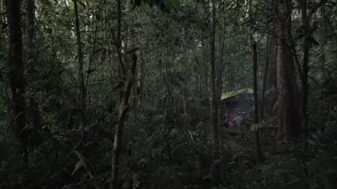 Camping, Malaysia Video stock 135716782