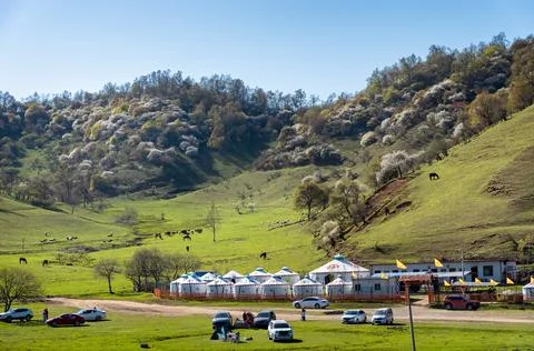 Camping on the meadow Stock Photos