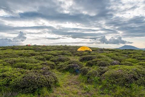 Camping in the mountains Stock Photos