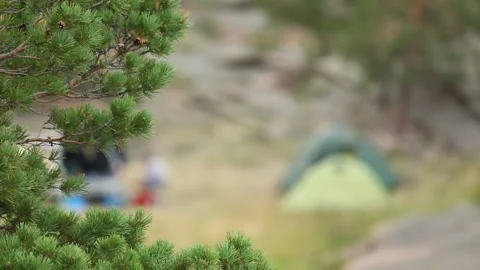 Camping in nature in summer Stock Footage 198478180