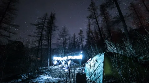 Camping Night Sky Timelapse In Forest Stock Video Pond5