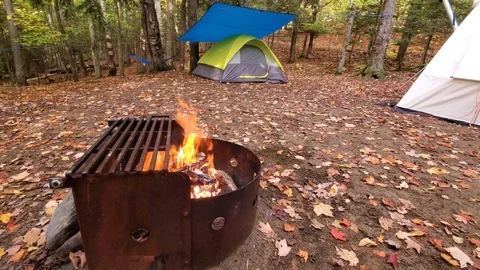 Camping in Ontario Canada Video stock 117476077