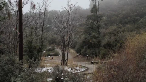 Camping Pathway with Trees_Graded 스톡 동영상 41511464