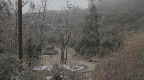 Camping Pathway with Trees_Ungraded 스톡 동영상 41510904