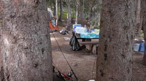 Camping with a pet dog. 库存影片 54413082