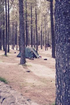 Camping Stock Photos