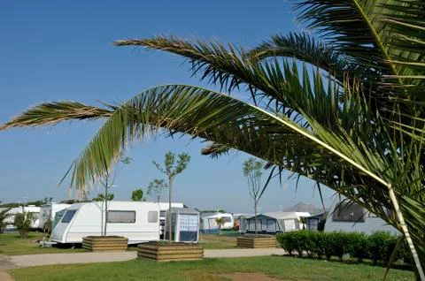 At the camping Stock Photos