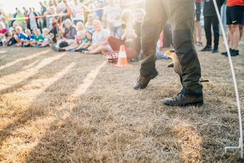 Camping Stock Photos