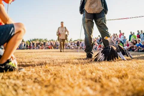 Camping Stock Photos