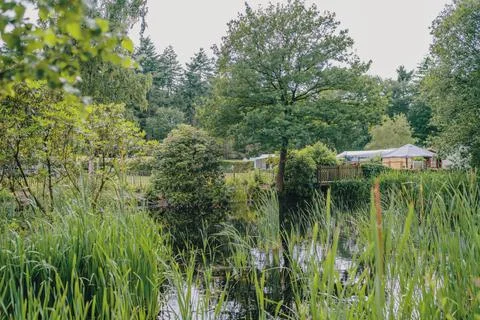 Camping Stock Photos