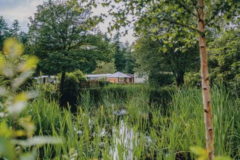 Camping Stock Photos