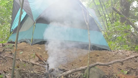 Camping, picnic, bonfire Stock Footage 158343072