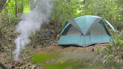 Camping, picnic, bonfire Stock Footage 158343083
