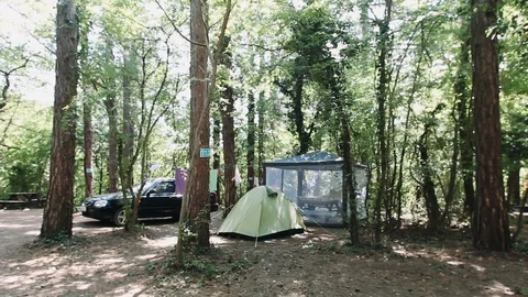 Camping in a pine forest by the sea. There are two tents in the green forest. Stock Footage 125757551