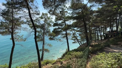 Camping at sea in a pine forest. Stock Footage 282084221