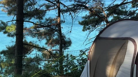 Camping at sea in a pine forest. Video stock 282084563
